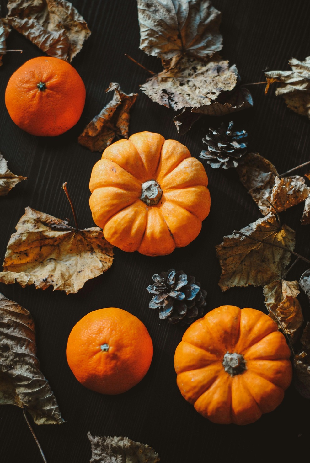 Pozabite na izrezovanje buč: letos jih krasimo na precej bolj šik način (in rezultat je čudovit) (foto: Unsplash)